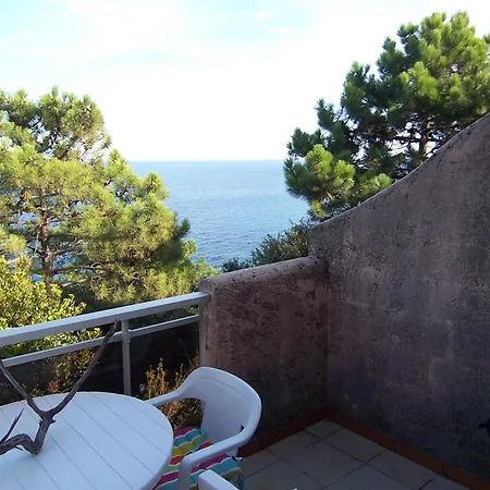 Apartament Asphodele Tarcu