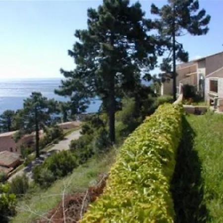 Asphodele Apartament *