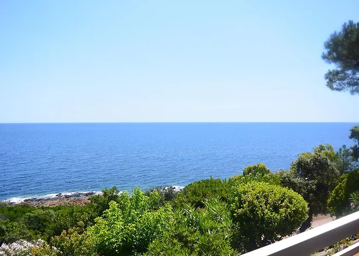 Apartment Asphodele Tarcu